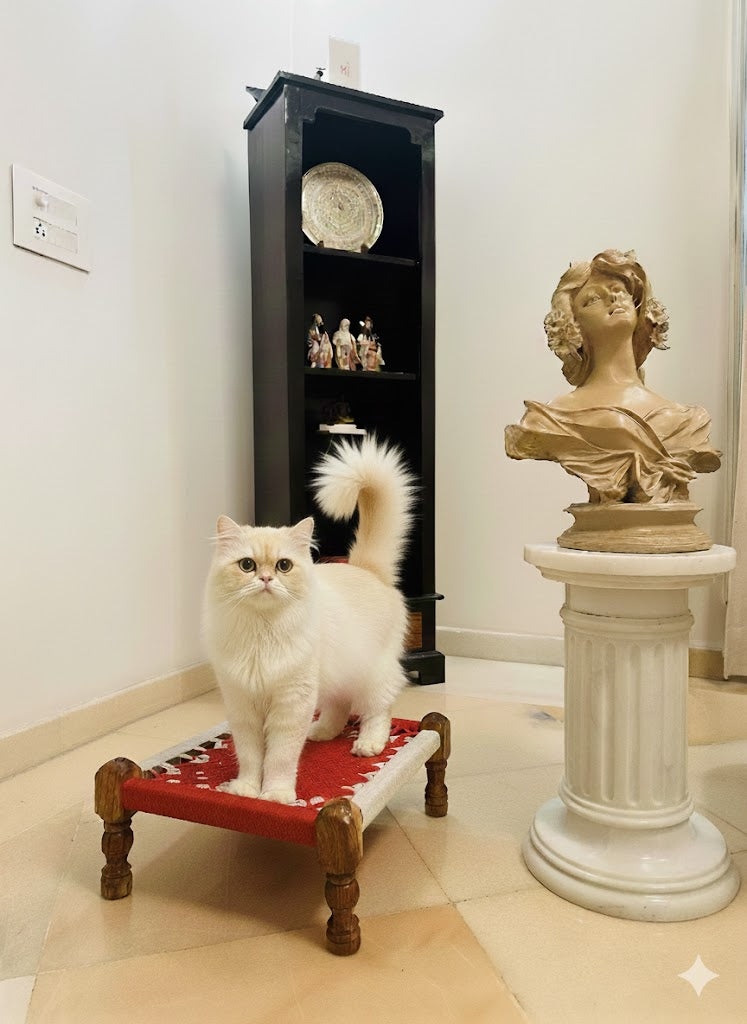 Miniature Wooden Dori knitted Pet Bedding